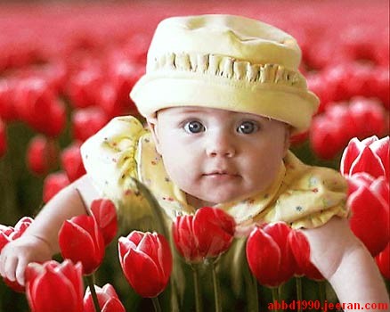 تهنئة للعزيز aaakf بمناسبة مولودتة 1700_1316187599.jpg