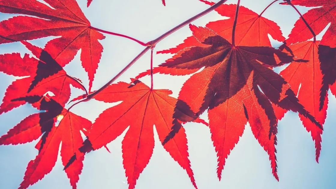 اضغط على الصورة لعرض أكبر. 

الإسم:	b2b149141a03637b86581eeecf2b8c46.jpg 
مشاهدات:	143 
الحجم:	92.6 كيلوبايت 
الهوية:	956453