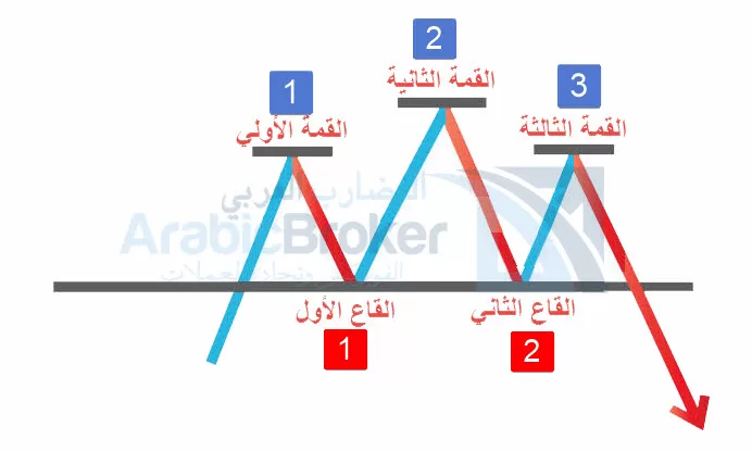 النماذج الفنية للعملات