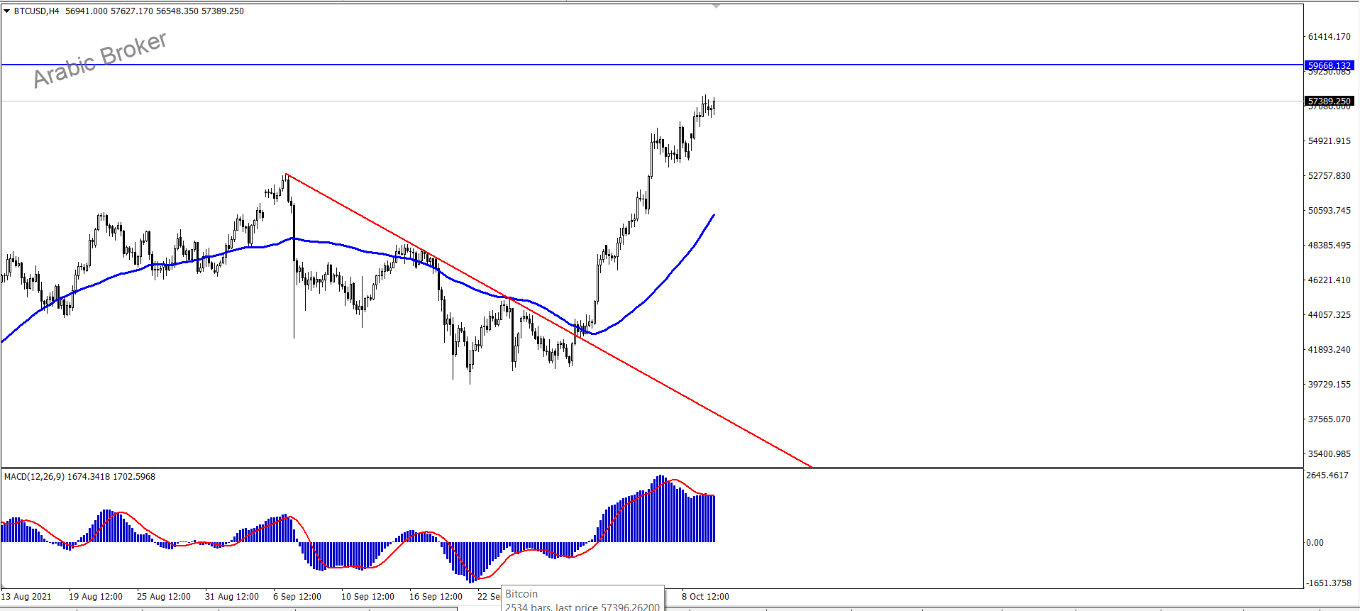 بتكوين – المضارب العربي