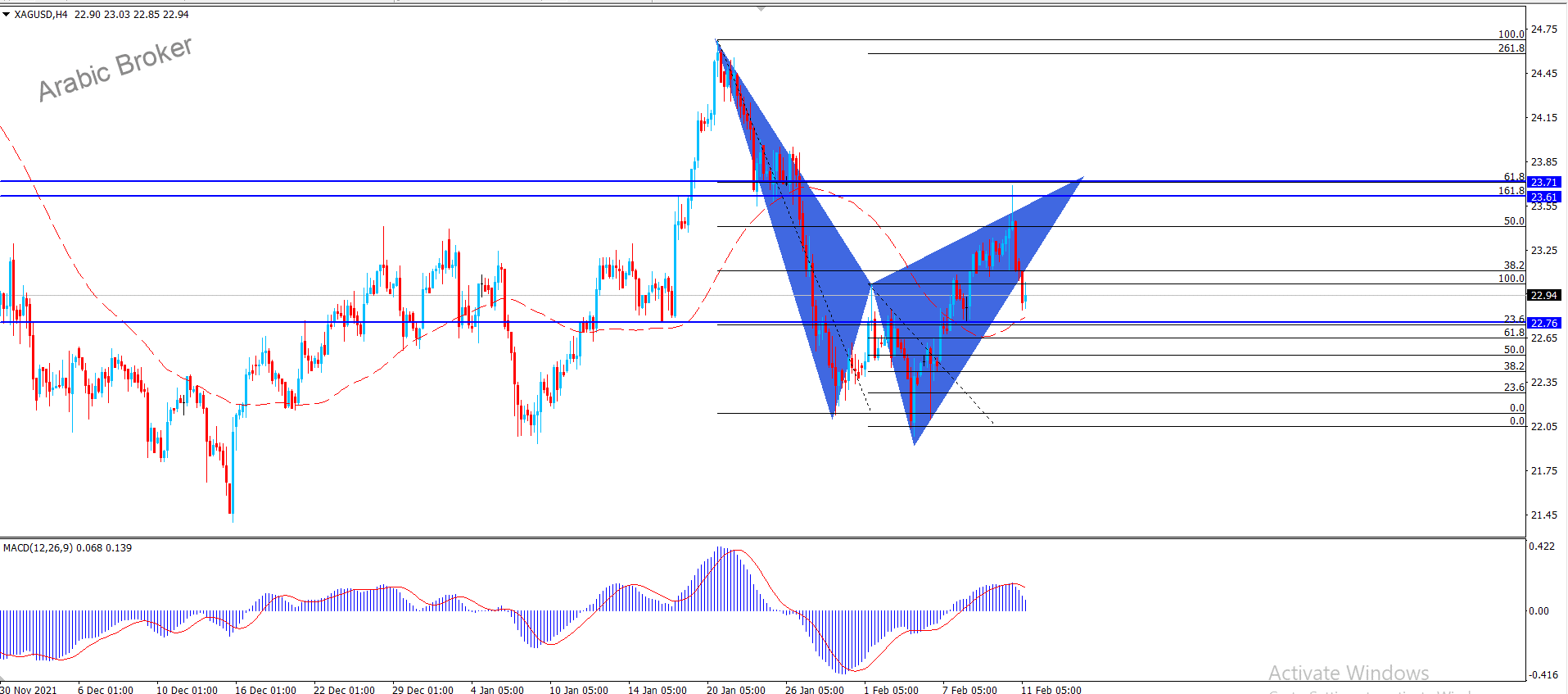 بب – المضارب العربي