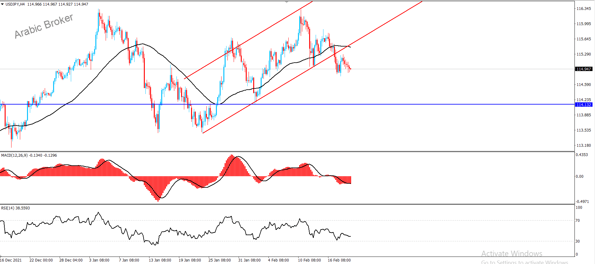 دولتار ين – المضارب العربي