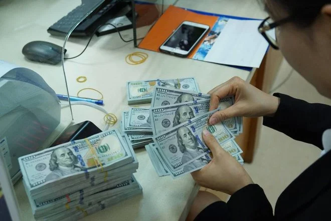 1874256-534714166 – المضارب العربي