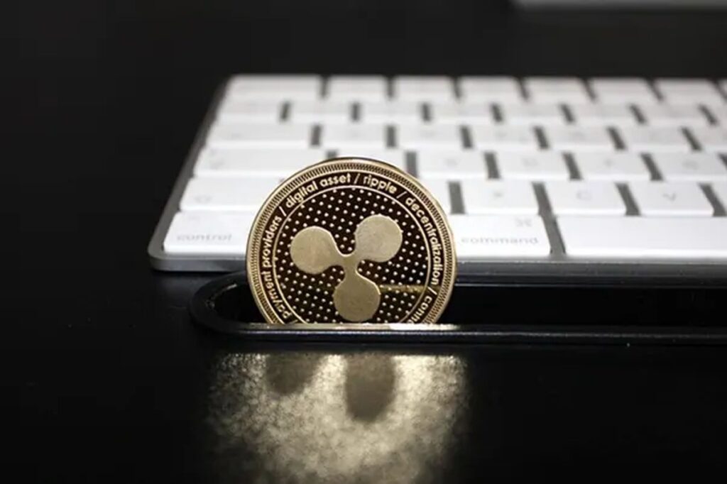 DogeMiyagi و Bitcoin و Ripple