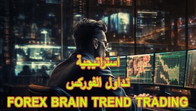 نظام