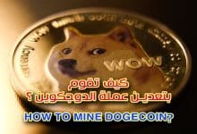 الدوجكوين