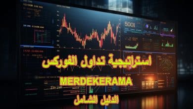 استراتيجية