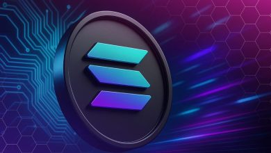 بامب فن
