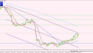 النيوزلندي