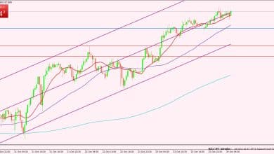 النيوزيلندي