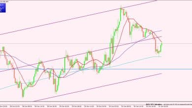 الدولار النيوزيلندي