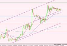 الدولار الأمريكي