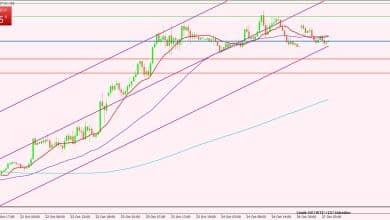 النفط الخام