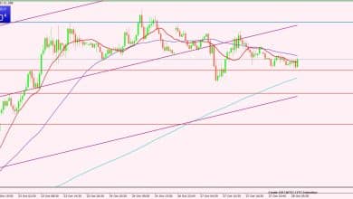 النفط الخام