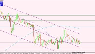 النفط الخام