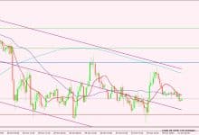 النفط الخام