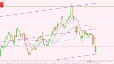 النيوزيلندي