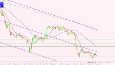 النيوزيلندي