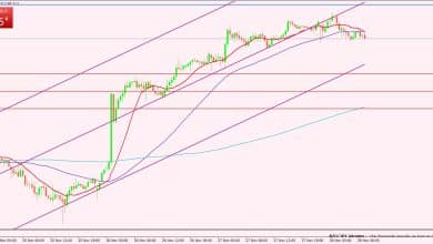 النيوزيلندي