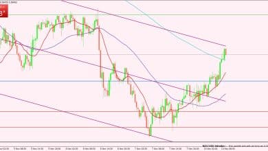 النيوزيلندي