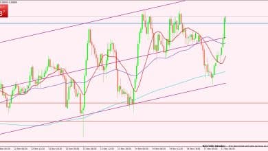 النيوزيلندي