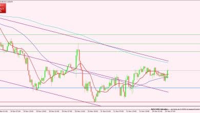 النيوزلندي