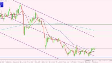 النيوزيلندي