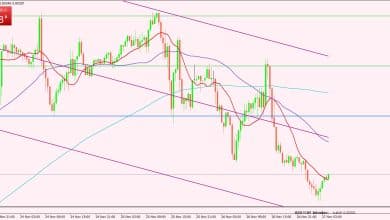 الدولار الأمريكي