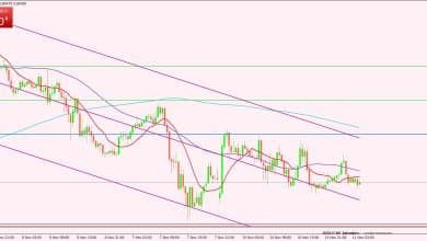 الدولار الأمريكي