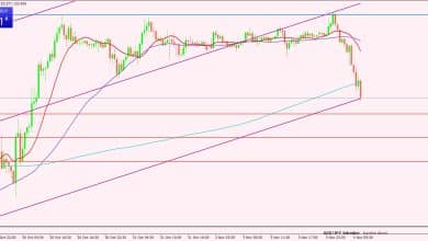 الدولار الأمريكي