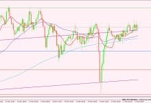 الدولار الأمريكي