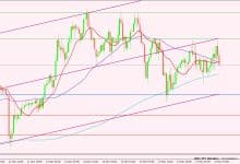 الدولار الأمريكي