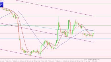 النفط الخام