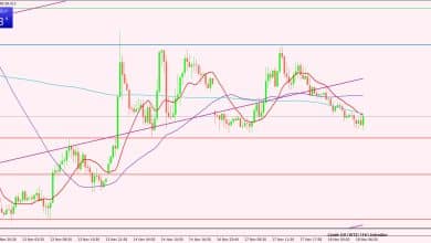 النفط الخام