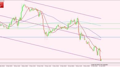 النفط الخام