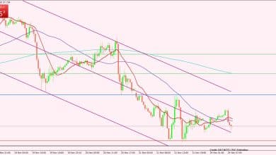 النفط الخام