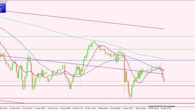 النفط الخام