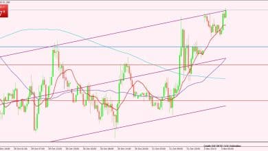 النفط الخام