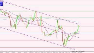 النفط الخام