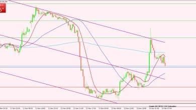 النفط الخام