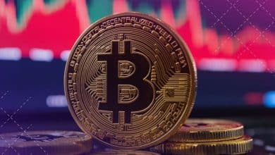 عمليات البحث