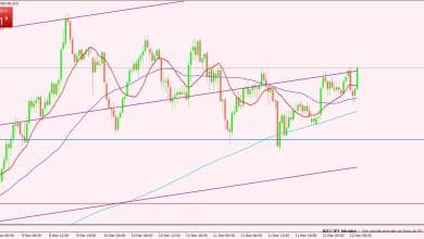 النيوزيلندي