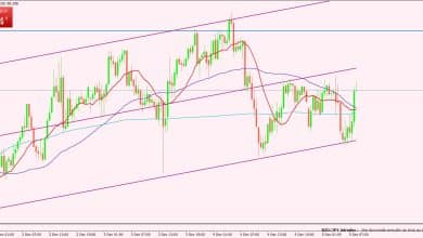 الدولار النيوزيلندي