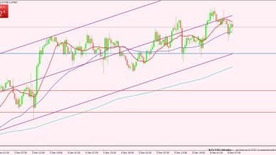 النيوزيلندي