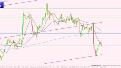 النيوزيلندي