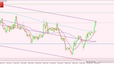 الدولار النيوزلندي