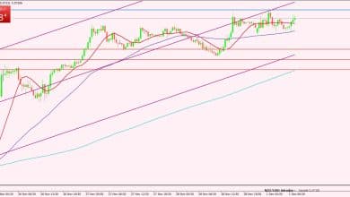 النيوزيلندي