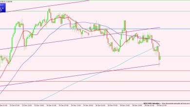 النيوزيلندي