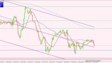 النفط الخام