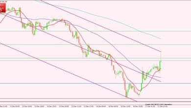 النفط الخام